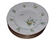 Bellis & Coltsfoot Angular
Dinner plate plate 25.0 cm.