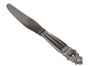 Georg Jensen AcornLong dinner knife 23.0  cm.