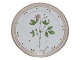 Flora Danica
Luncheon plate 22 cm. #3572