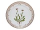 Flora Danica
Luncheon plate 22 cm. #3572