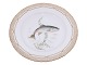 Flora DanicaDinner plate with fish 25.5 cm. #3549